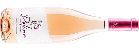 wine_02526