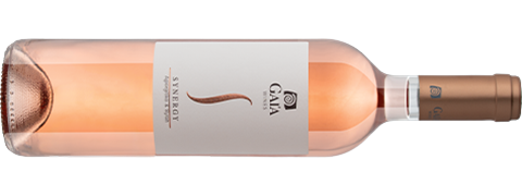 wine_03023